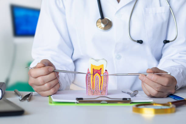 Best Emergency Dental Services for Seniors in Olivet, MI